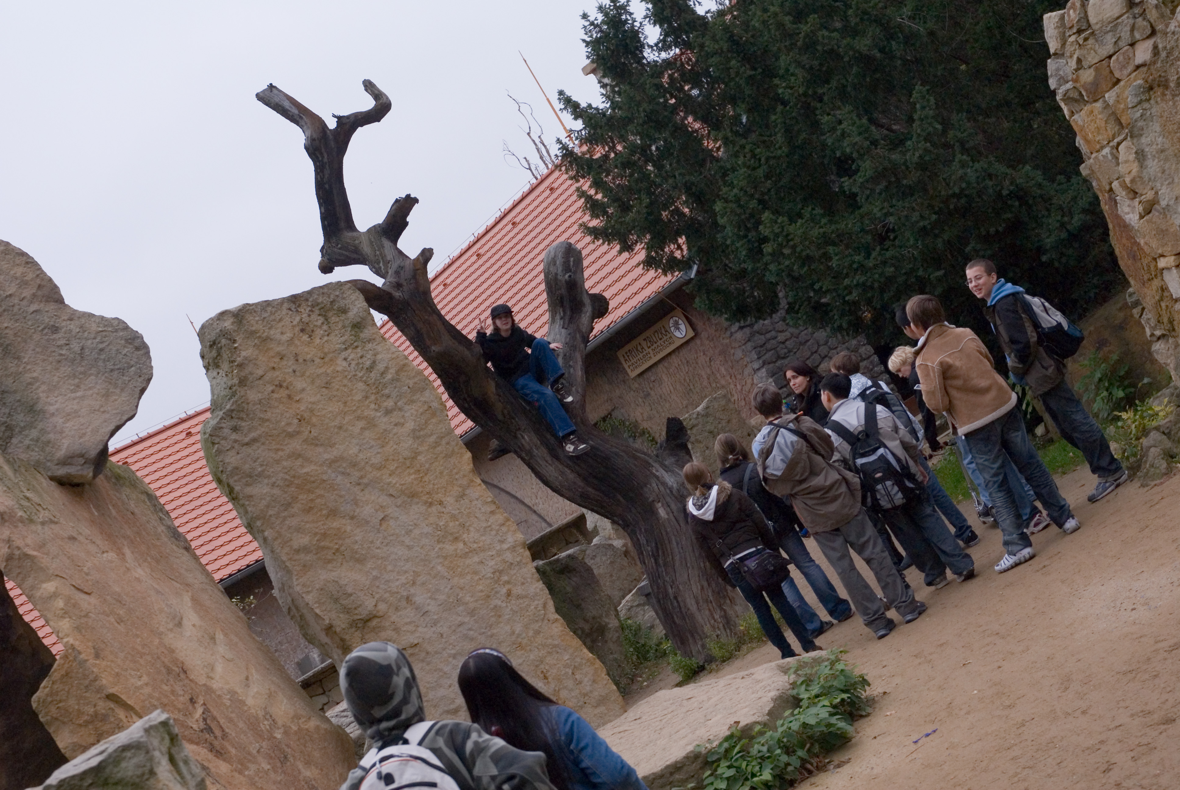 DSC_5087.jpg